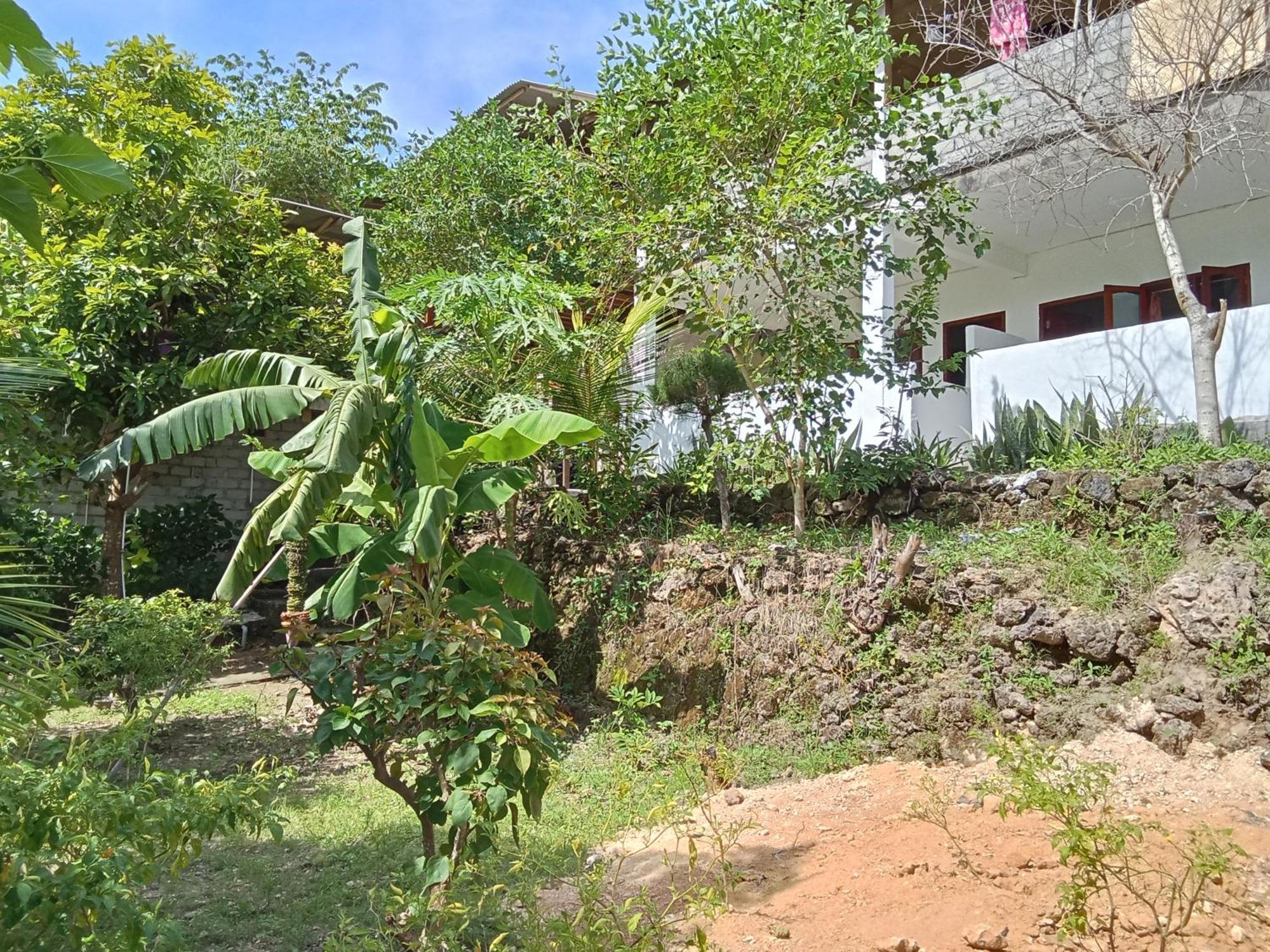 Feby'S Homestay Ekas Extérieur photo